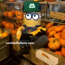 ubf minion