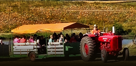 Tractor Ride at Uncle Bill's Farm